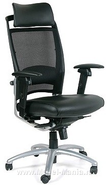 Офисное кресло руководителя СН - Ergo 281A