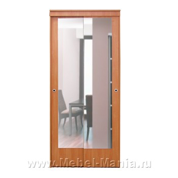 Шкаф-купе Мираж-2 (ширина-1000) — ФН