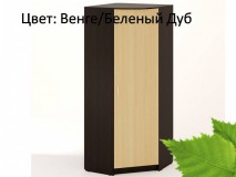 шкаф угловой шк-07