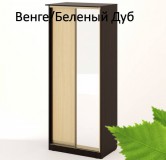 шкаф купе ШК-09