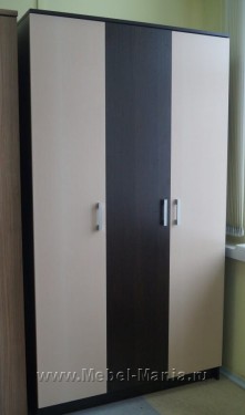 Шкаф распашной для одежды 3-х дверный