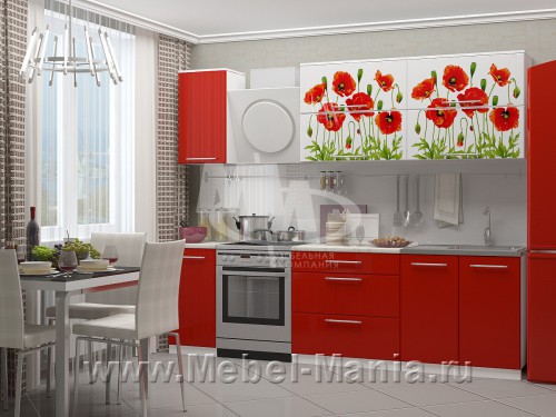 Кухня "Маки 2,0 м"