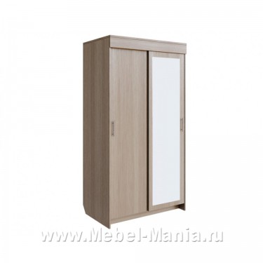 Шкаф-купе ШК-2