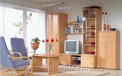 Гостиная Тристан